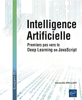 livre intelligence artificielle - premier pas vers le Deep Learning en JavaScript